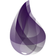 Elixir