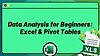 Data Analysis for Beginners: Excel & Pivot Tables