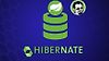 Hibernate and Spring Data JPA: Beginner to Guru