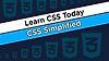 Learn CSS Today