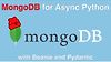 MongoDB with Async Python