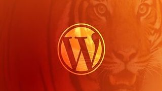 Become a WordPress Developer: Unlocking Power With Code