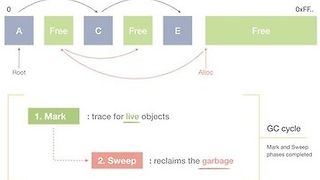 Garbage Collection Algorithms