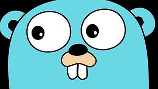 Introduction to industry REST microservices in Golang (Go)