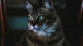 NestJS Microservices