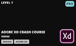 Adobe XD Crash Course