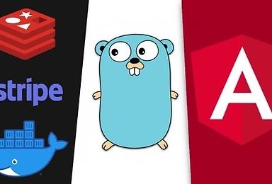 Angular and Golang: A Rapid Guide - Advanced