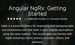 Angular NgRx: Getting Started