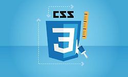 CSS - The Complete Guide 2022 (incl. Flexbox, Grid & Sass)