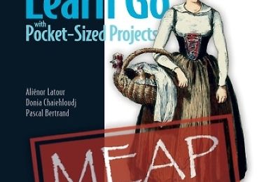 Learn Go with Pocket-Sized Projects