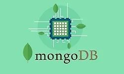 MongoDB - The Complete Developer's Guide