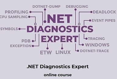 .NET Diagnostics Expert