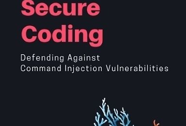 Node.js Secure Coding (All 3 Node.js security training books)