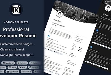 Professional Developer Resume