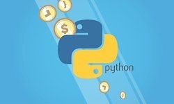 Python - The Practical Guide