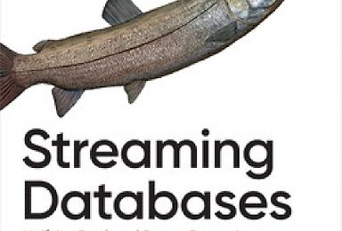 Streaming Databases