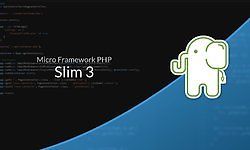 Validation with Slim 3