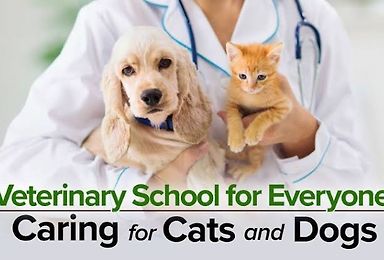 Veterinary School for Everyone: Caring for Cats and Dogs